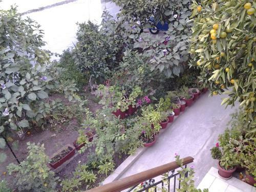 Apartamento Studios Maro