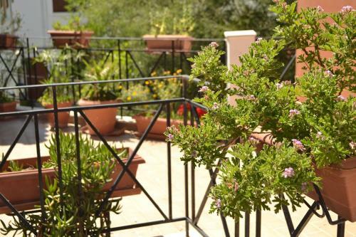 Hostal Natura