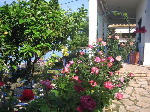 Apartamento Villa Rosanna