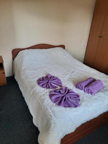 Hostal ?????