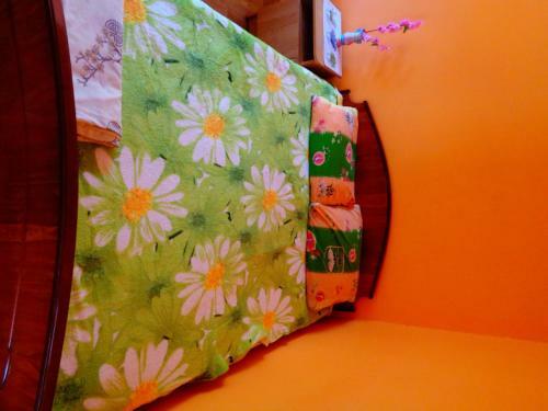 Hostal ?????????? ????? ?????????
