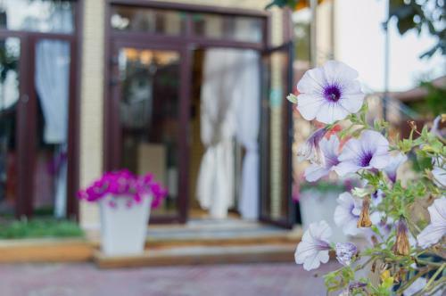 Marfino Hotel