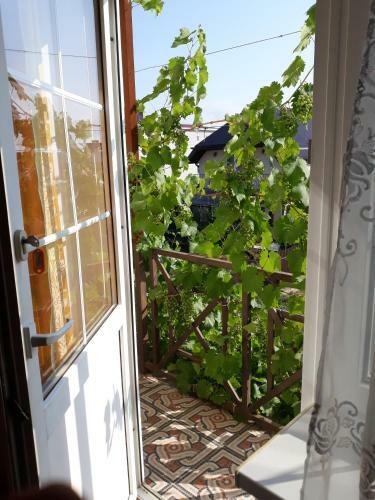 Hostal Edem