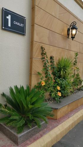 Hotel Lucern Chalet