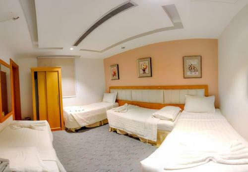 ???? ???? ????? Dana Altaj Hotel