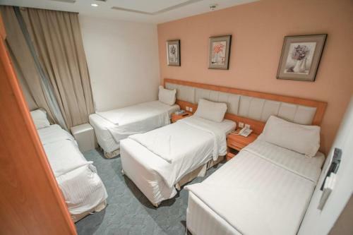 ???? ???? ????? Dana Altaj Hotel