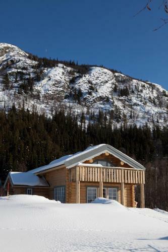 Lodge Timmervillan