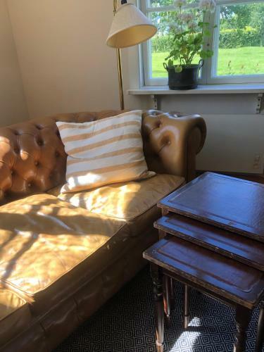 Olssons B&B