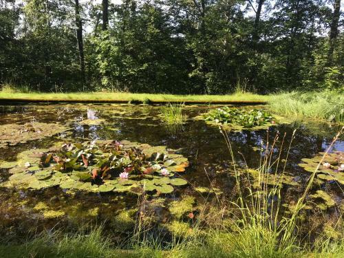 Bed & Breakfast Isaksbo Herrg�rd
