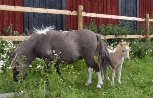 Bed & Breakfast Isaksbo Herrg�rd
