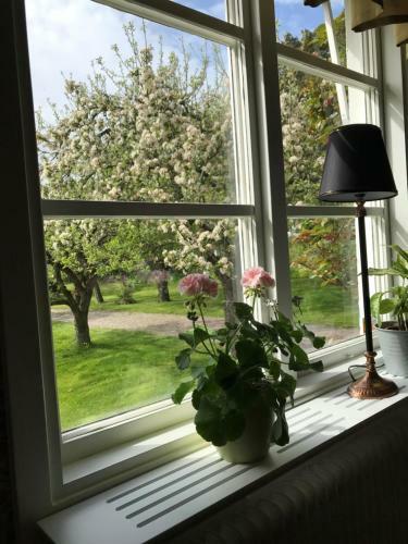 Albergue Vandrarhemmet �stergatan