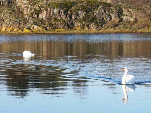 Holiday Home Str�mstad XXI