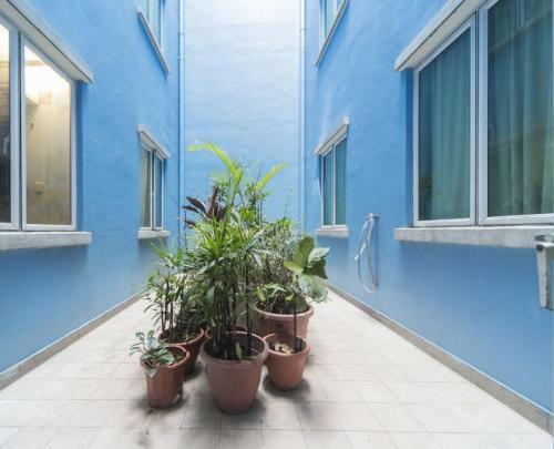 K Hotel 1515 (Staycation Approved)