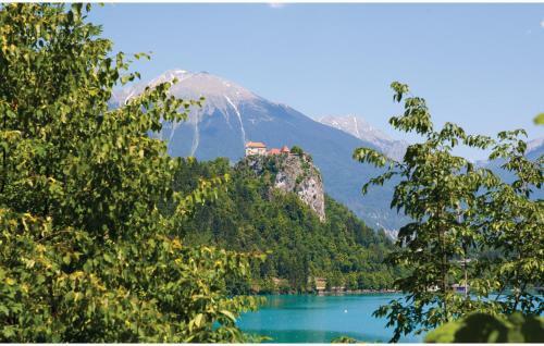 One-bedroom Apartment In Bled