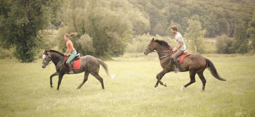 Hostal Farm Stay Zevnik