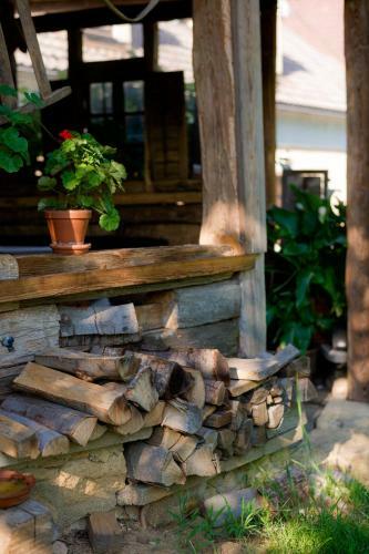 Bed & Breakfast Tourist Farm Firbas