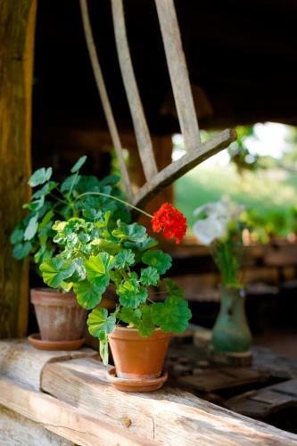 Bed & Breakfast Tourist Farm Firbas
