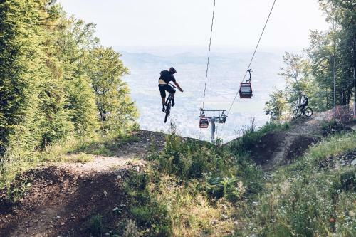 Forest Hotel Videc