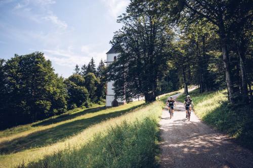 Forest Hotel Videc