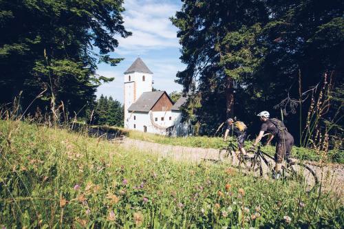 Forest Hotel Videc