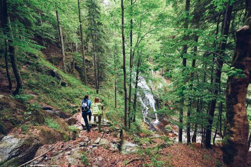 Forest Hotel Videc