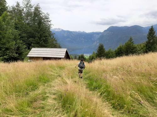 Chalet Pr Dobravc