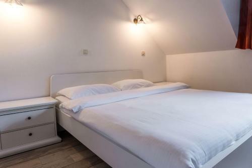 Hotel Morea