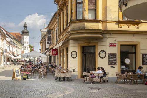 Amazing Apartment In Downtown Maribor