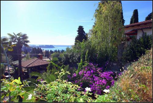 Hostal Champagne Apartments Portoro? Vp