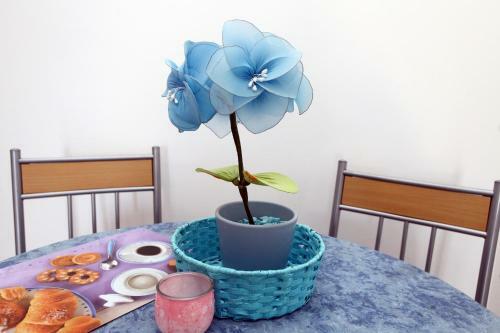 Parenzana Sea View Apartments Sk