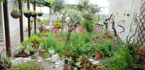Apartments Tramontana Nr