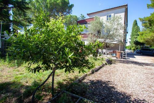 Hostel Trobenta In Oblak