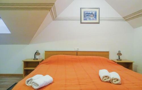 Apartment Stari Trg Ob Kolpi 08