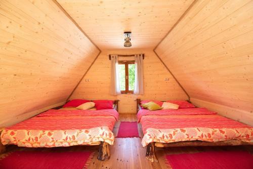Camp Korita