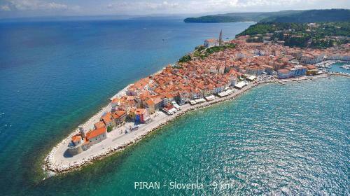 Peaceful Family Apartments Jasna