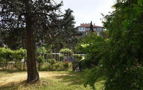 Apartments Ema