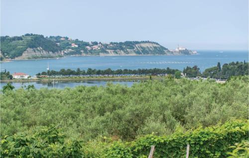 Nice Apartment In Strunjan W/ Wifi