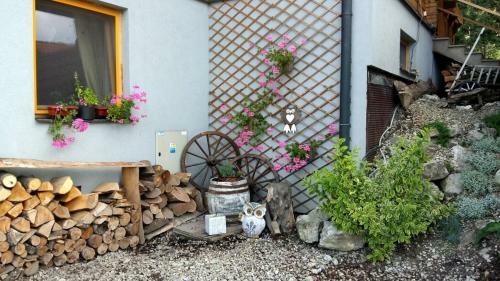 Hostal Penzi�n Racibor