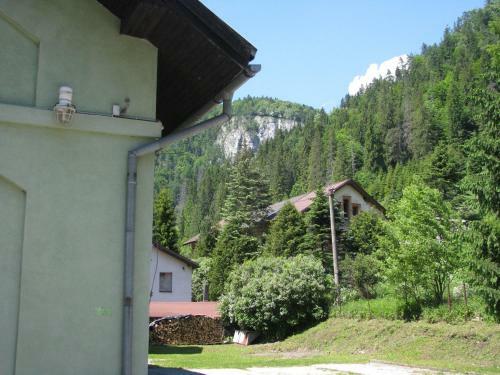 Hostal Penzi�n Borovica