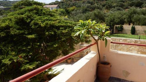 Mouri Villa