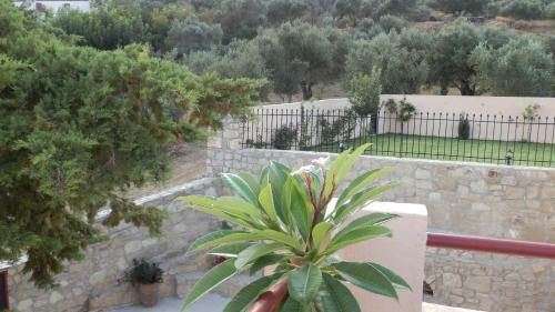 Mouri Villa