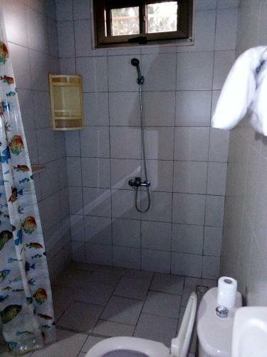 Hotel H�tel Saint Thomas