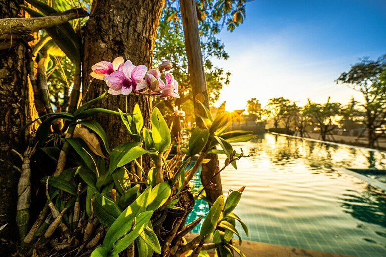 Hotel Chatnipa Beach Resort