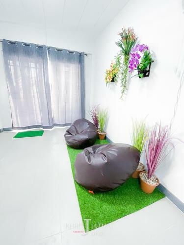Buly House