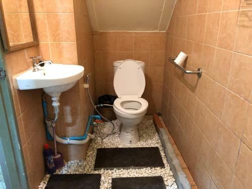 Hostal House Mod 2