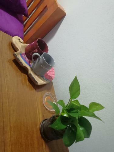 Bed & Breakfast Tanjen House