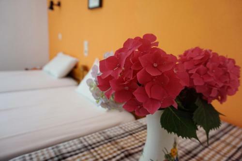 Hostal Galini