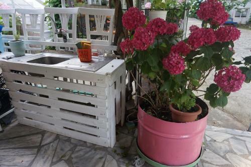 Hostal Galini