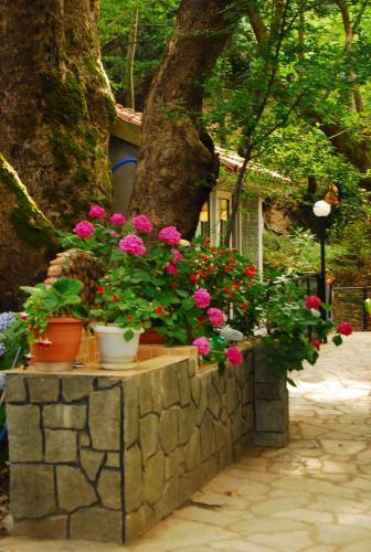 Apartamento Tasoula Parselia Studios