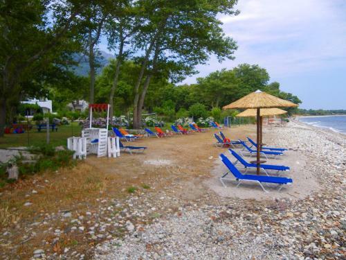 Archondissa Boutique Beach Aparthotel